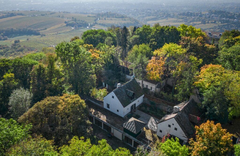 kahlenberg_muhr_03